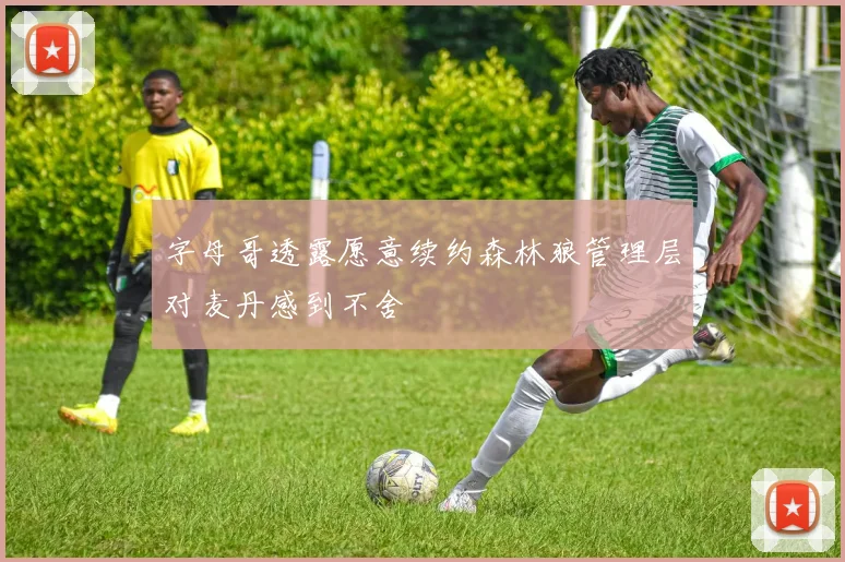 字母哥透露愿意续约森林狼管理层对麦丹感到不舍