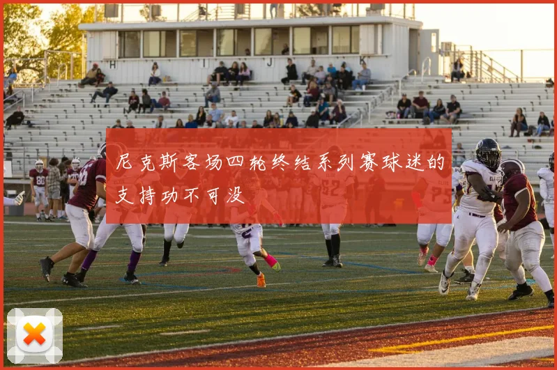 尼克斯客场四轮终结系列赛球迷的支持功不可没