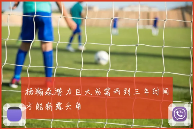 杨瀚森潜力巨大或需两到三年时间方能崭露头角